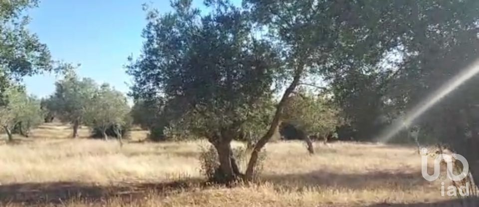 Terreno para construção em Alcácer do Sal (Santa Maria do Castelo e Santiago) e Santa Susana de 14 750 m²