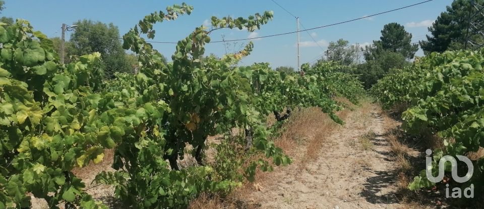 Ferme T3 à Vila Cortês da Serra de 522 m²