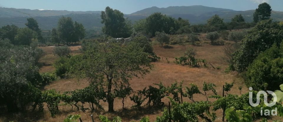 Ferme T3 à Vila Cortês da Serra de 522 m²