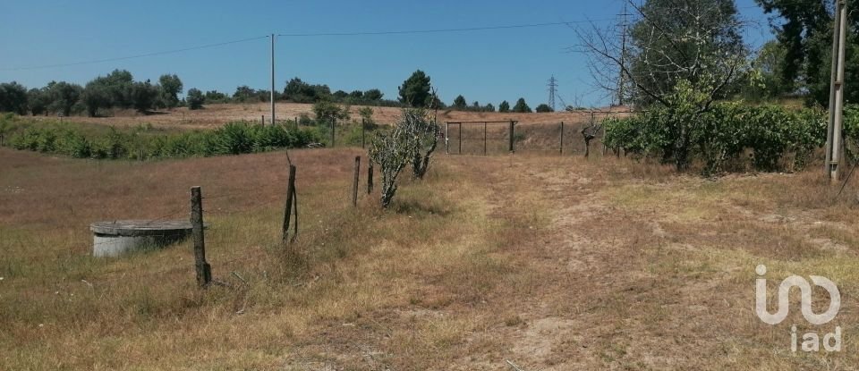 Ferme T3 à Vila Cortês da Serra de 522 m²