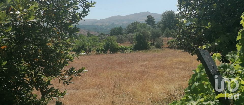 Ferme T3 à Vila Cortês da Serra de 522 m²