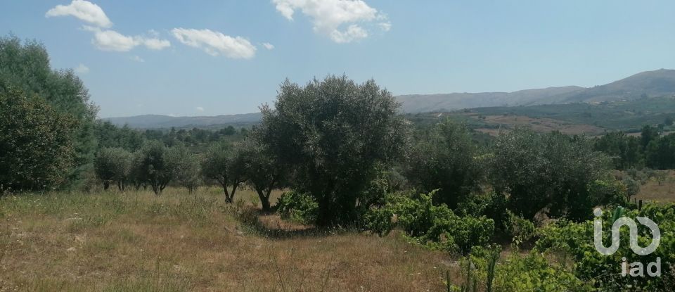 Ferme T3 à Vila Cortês da Serra de 522 m²