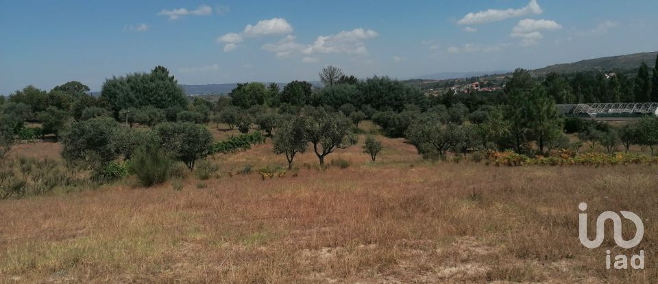 Ferme T3 à Vila Cortês da Serra de 522 m²