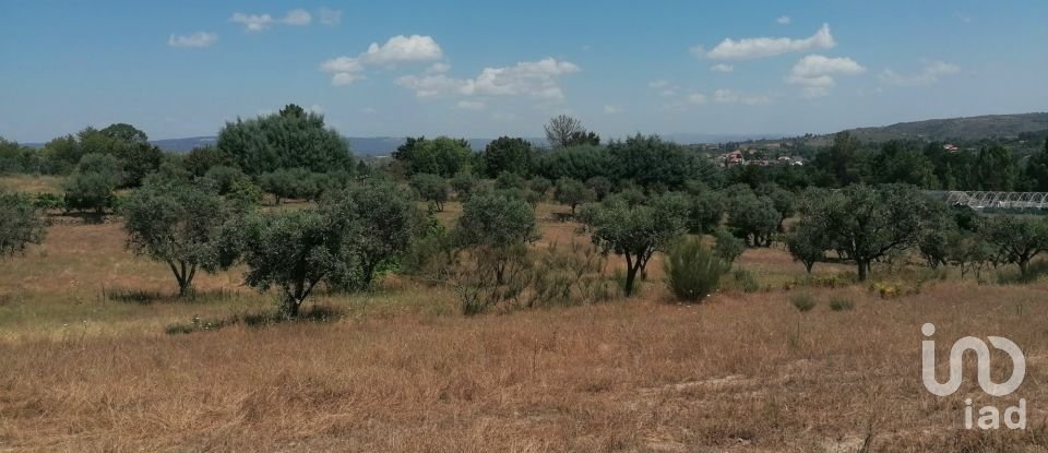 Ferme T3 à Vila Cortês da Serra de 522 m²