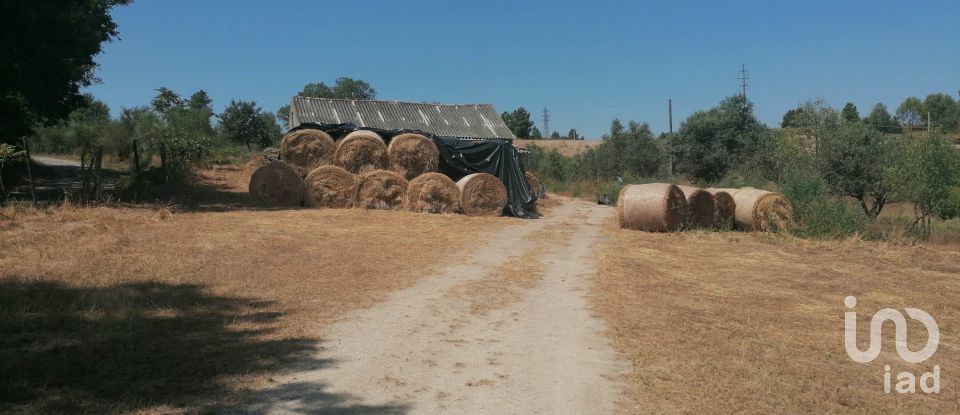 Ferme T3 à Vila Cortês da Serra de 522 m²