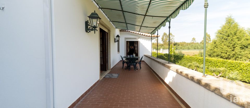 Traditional house T4 in Mouronho of 412 m²