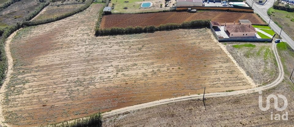 Terrain à Lourinhã e Atalaia de 2 849 m²