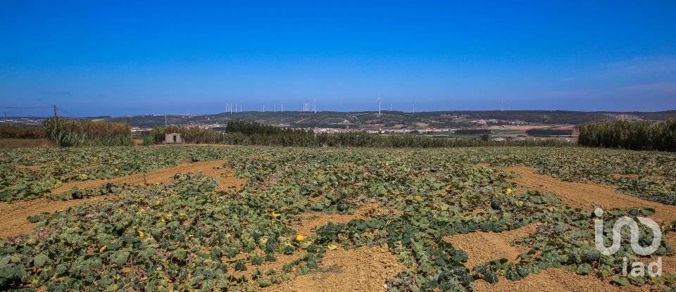 Terreno em Lourinhã e Atalaia de 2 849 m²