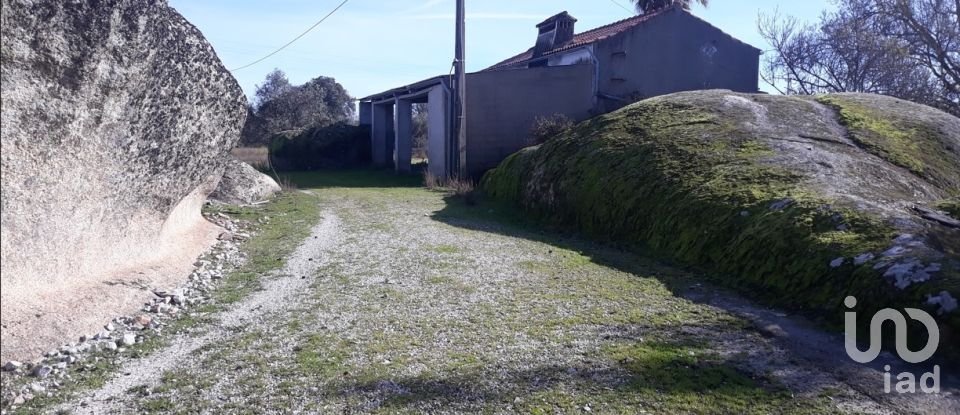 Farm T0 in Santiago Maior of 80 m²