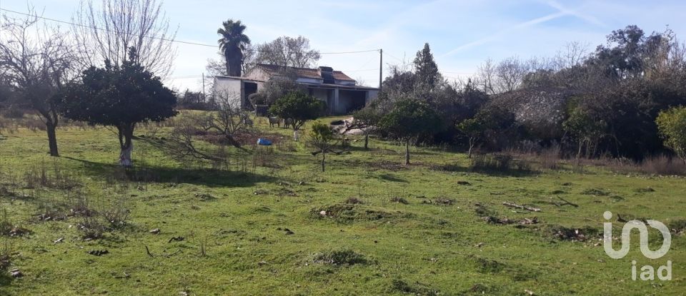 Farm T0 in Santiago Maior of 80 m²