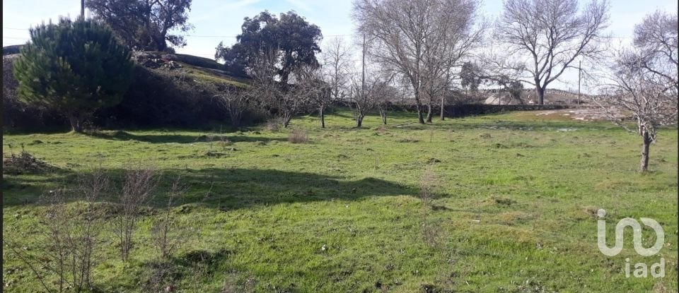 Farm T0 in Santiago Maior of 80 m²