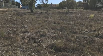 Terrain à bâtir à Rio de Couros e Casal dos Bernardos de 3 446 m²