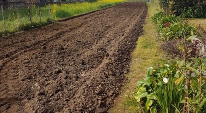 Terreno em Barqueiros de 1 350 m²