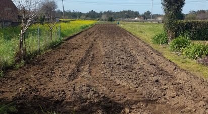 Terreno em Barqueiros de 1 350 m²