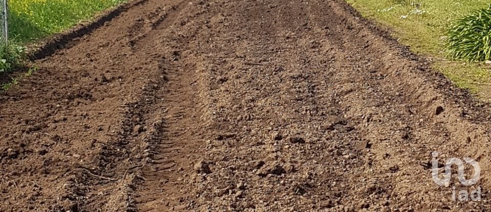 Terreno em Barqueiros de 1 350 m²