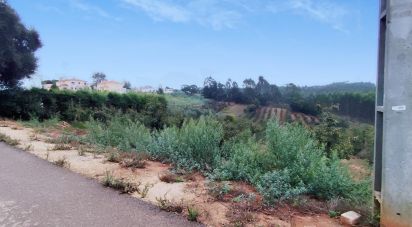 Terreno em Cadaval e Pêro Moniz de 4 574 m²