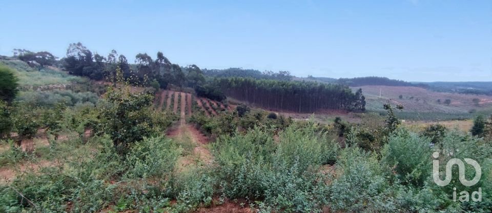 Terreno em Cadaval e Pêro Moniz de 4 574 m²