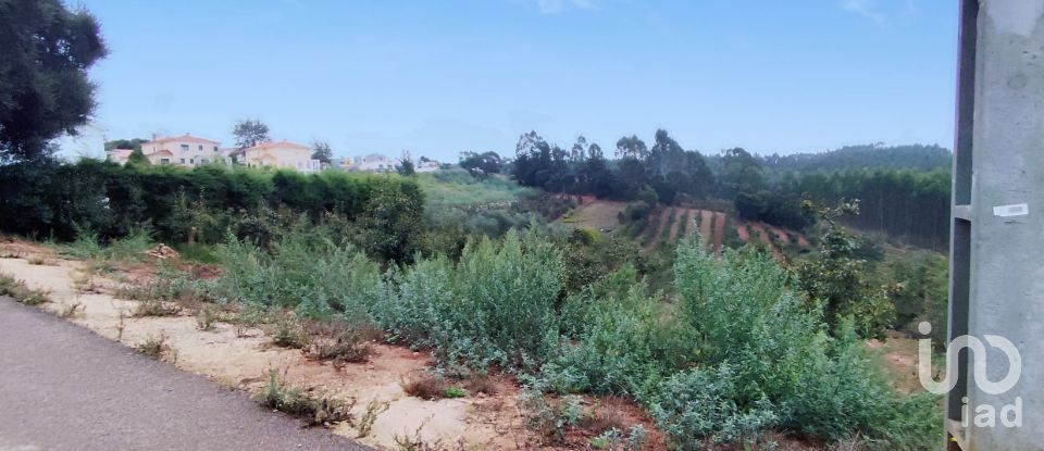 Terreno em Cadaval e Pêro Moniz de 4 574 m²