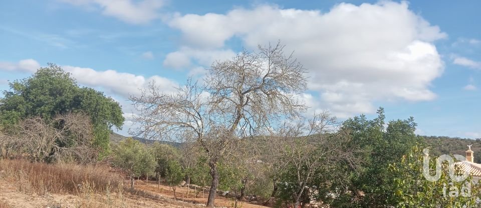 Terreno em Paderne de 1 000 m²