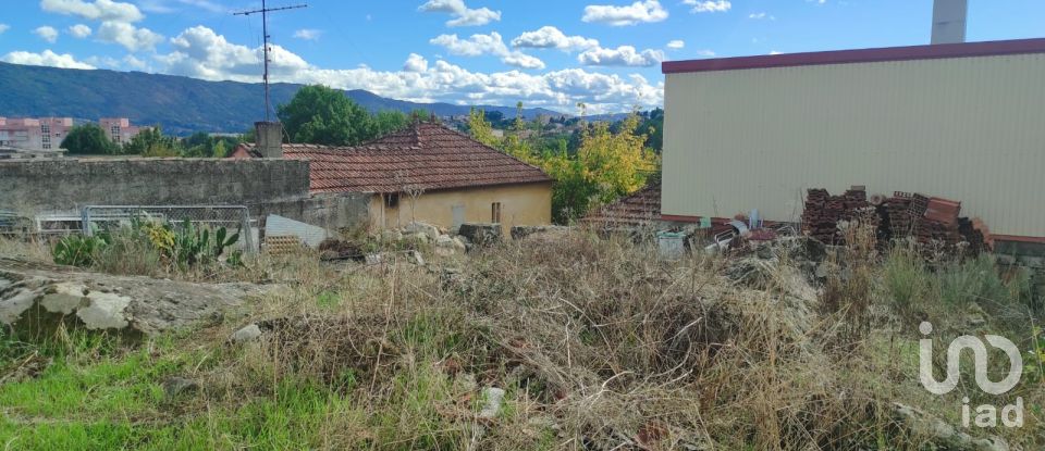 Gîte T2 à Santa Maria Maior de 500 m²