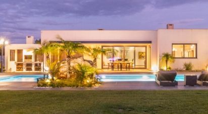 Estate T5 in Algoz e Tunes of 411 m²