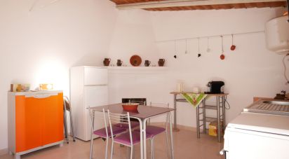 Traditional house T1 in Almodôvar e Graça dos Padrões of 40 m²