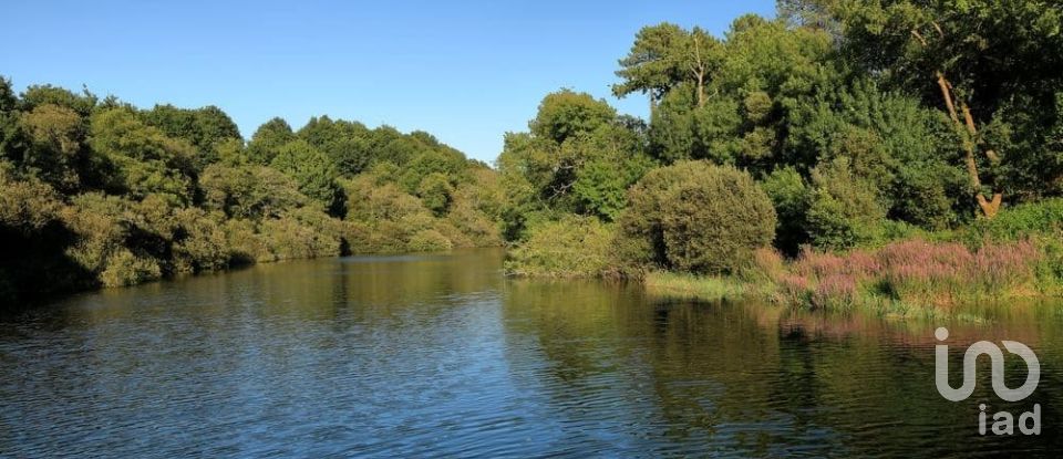 Armazém T0 em Coura de 300 m²