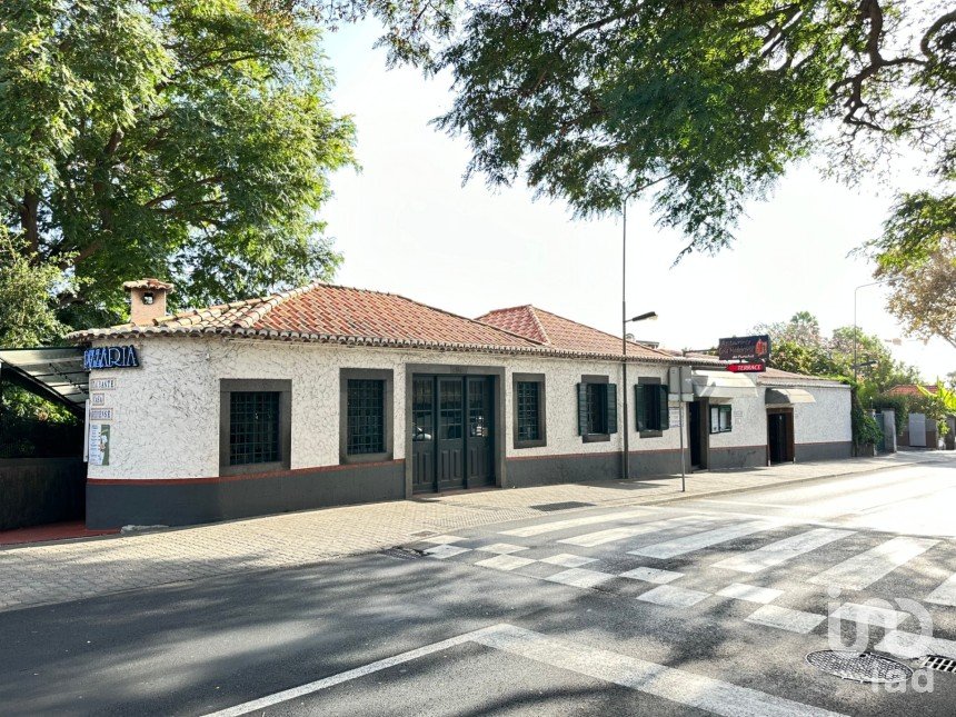 Shop / premises commercial in São Martinho of 775 m²