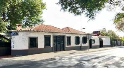 Boutique/Local commercial à São Martinho de 775 m²