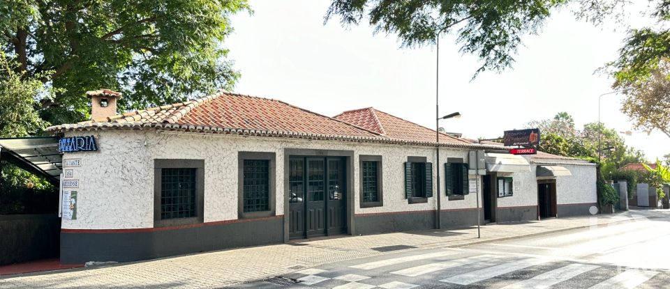 Shop / premises commercial in São Martinho of 775 m²