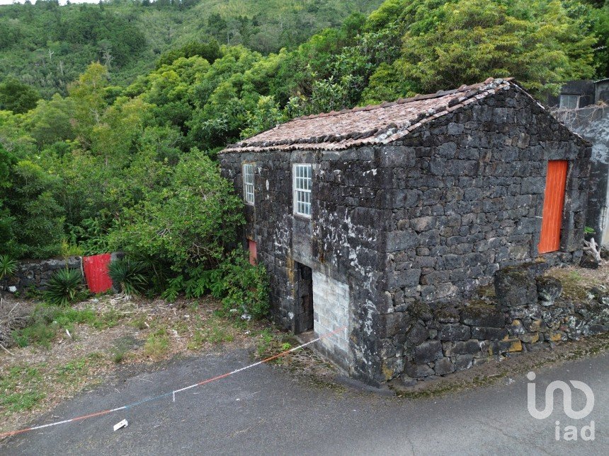 Traditional house T0 in Ribeiras of 84 m²