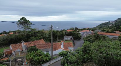 Maison traditionnelle T0 à Ribeiras de 84 m²