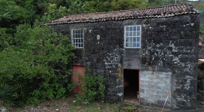 Traditional house T0 in Ribeiras of 84 m²