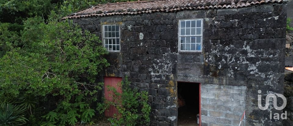 Casa tradicional T0 em Ribeiras de 84 m²