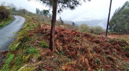 Terreno em Ventosa e Cova de 2 500 m²