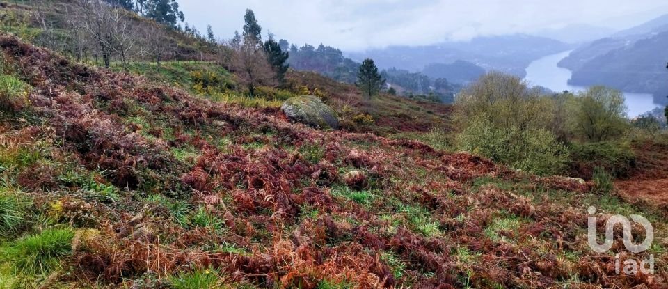 Terreno em Ventosa e Cova de 2 500 m²