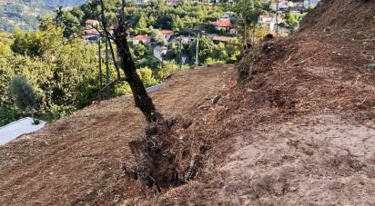 Terreno em Caniçada e Soengas de 1 410 m²