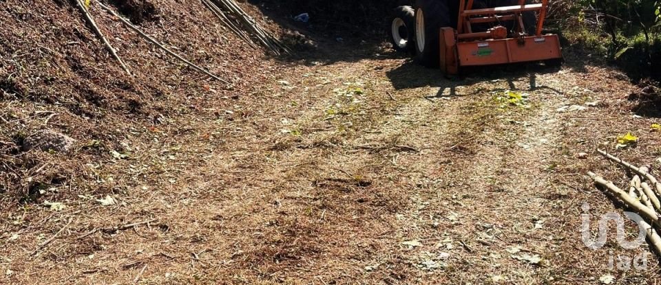 Terreno em Caniçada e Soengas de 1 410 m²