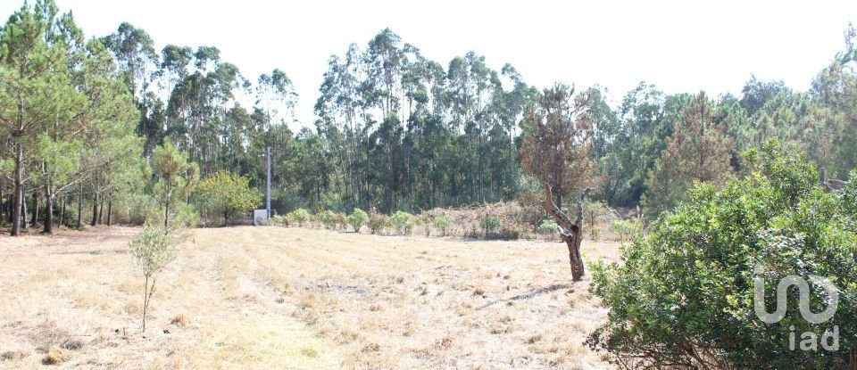 Casa T2 em Caldas da Rainha - Santo Onofre e Serra do Bouro de 110 m²