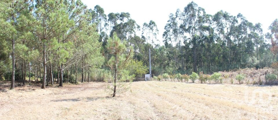 Casa T2 em Caldas da Rainha - Santo Onofre e Serra do Bouro de 110 m²