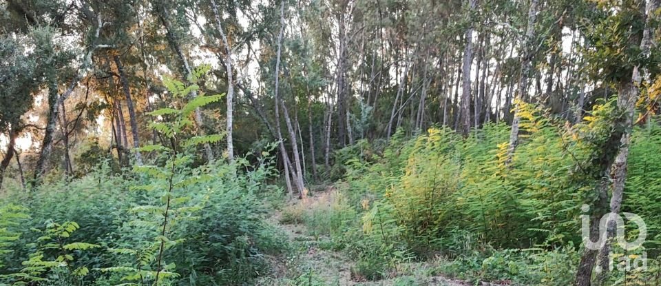 Land in Sarzedo of 3,600 m²