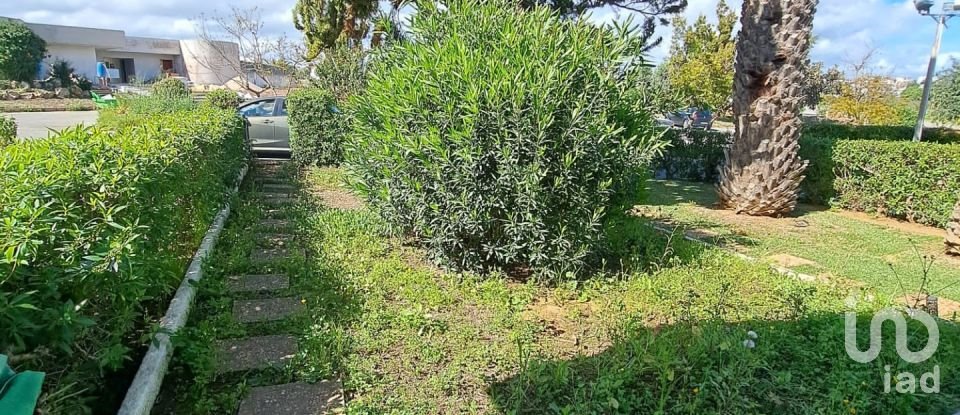 Appartement T1 à Quelfes de 75 m²