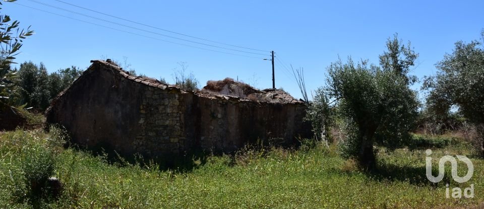 Maison de campagne T1 à Areias e Pias de 65 m²