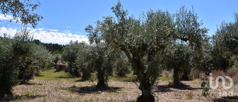 Maison de campagne T1 à Areias e Pias de 65 m²