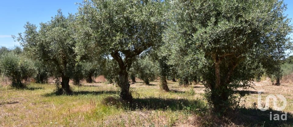 Maison de campagne T1 à Areias e Pias de 65 m²