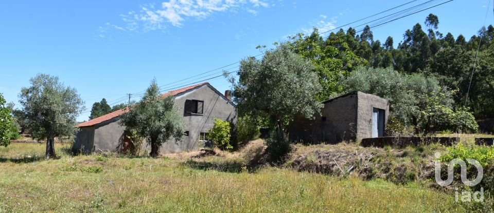 Casa de aldeia T4 em Areias e Pias de 60 m²