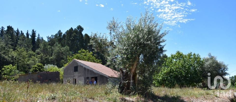 Casa de aldeia T4 em Areias e Pias de 60 m²