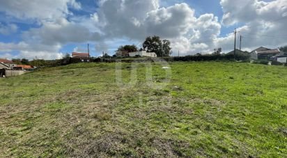 Terreno em Bustelo de 4 300 m²