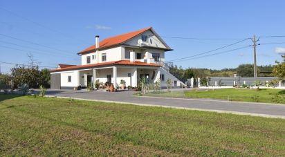 Traditional house T5 in Soure of 531 m²