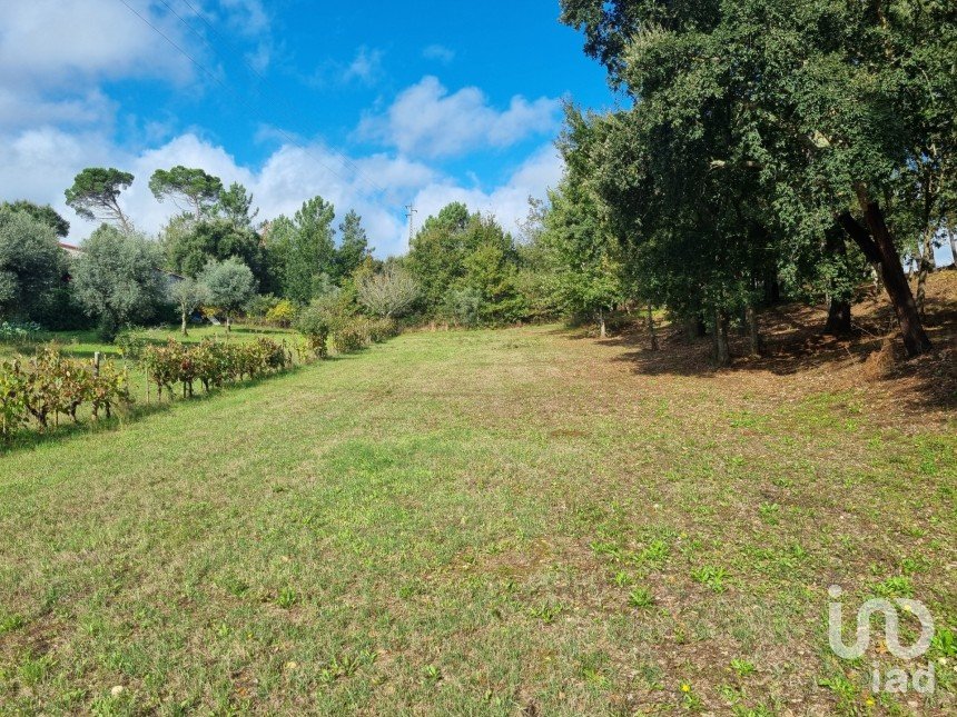 Land in Poiares (Santo André) of 4,800 m²